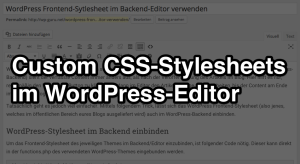 Custom CSS im WordPress-Editor