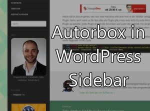 Autorbox in WordPress Sidebar ohne Plugin